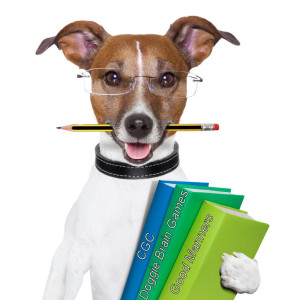 Life Skills Foundations